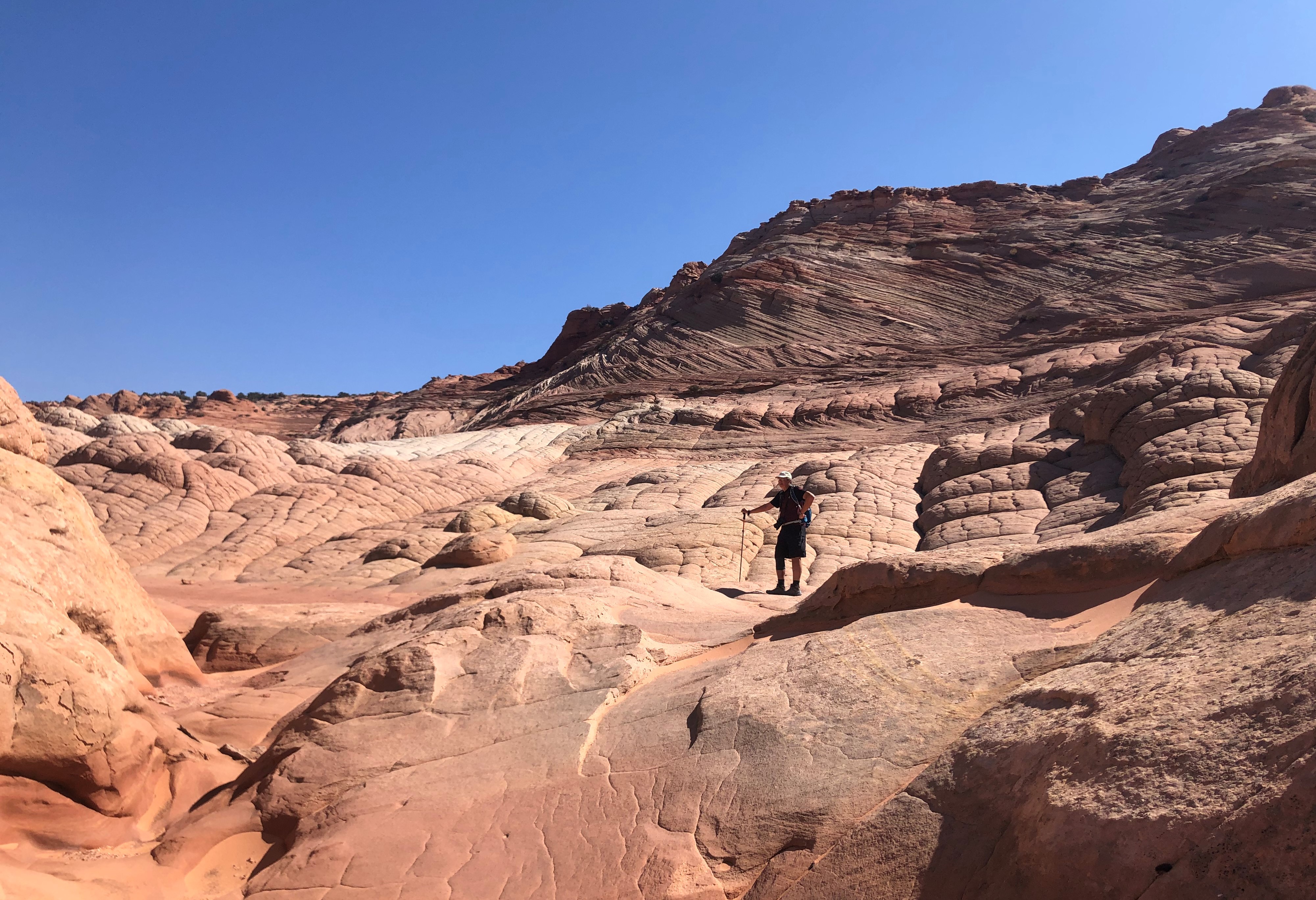 Vermillion Cliffs NM